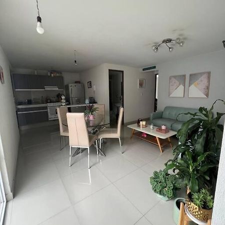 Departamento En Coyoacan Meksyk Zewnętrze zdjęcie